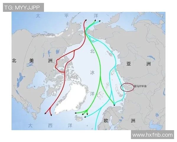 亚马尔地区的资源开发与国际合作前景分析及其对全球能源市场的影响